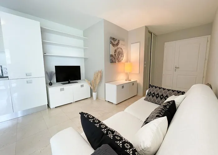 Deux Pieces, Parking Et Piscine Apartment *
